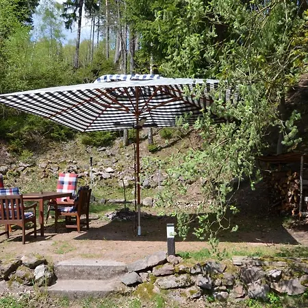 Apartment Ferienhaus Lutsche Frankenhain